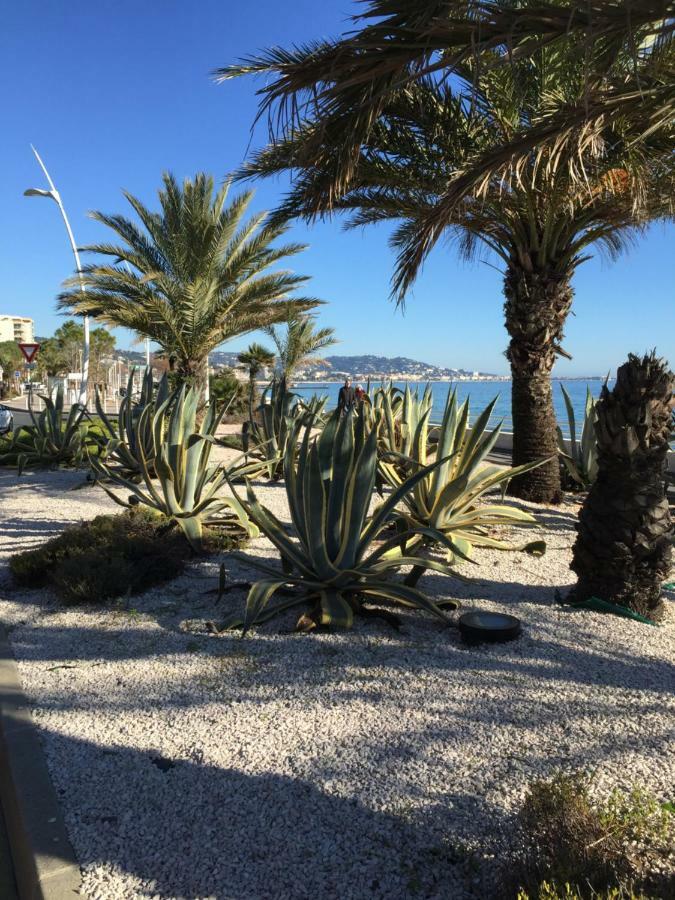 Appartement Belle Azur Cannes Eksteriør billede